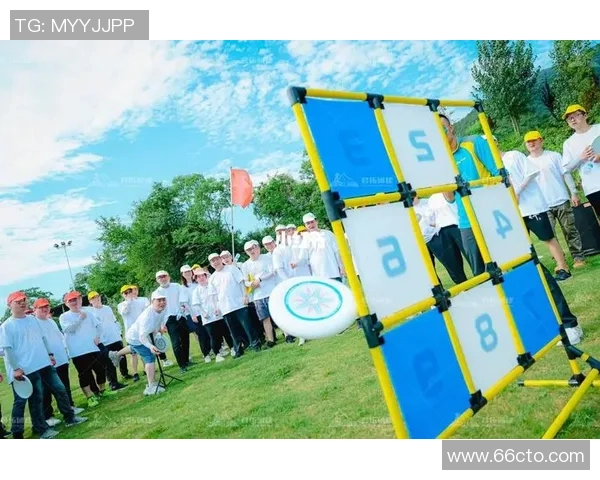 武汉飞盘队技术分析与战术探讨提升团队整体实力的关键要素